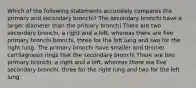 Which of the following statements accurately compares the primary and secondary bronchi? The secondary bronchi have a larger diameter than the primary bronchi There are two secondary bronchi, a right and a left, whereas there are five primary bronchi bronchi, three for the left lung and two for the right lung. The primary bronchi have smaller and thinner cartilaginous rings that the secondary bronchi There are two primary bronchi, a right and a left, whereas there are five secondary bronchi, three for the right lung and two for the left lung.