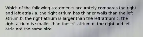 Which of the following statements accurately compares the right and left atria? a. the right atrium has thinner walls than the left atrium b. the right atrium is larger than the left atrium c. the right atrium is smaller than the left atrium d. the right and left atria are the same size