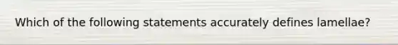 Which of the following statements accurately defines lamellae?