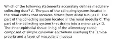 Which of the following statements accurately defines medullary collecting duct? A. The part of the collecting system located in the renal cortex that receives filtrate from distal tubules B. The part of the collecting system located in the renal medulla C. The part of the collecting system that drains into a minor calyx D. The inner epithelial tissue lining of the alimentary canal; composed of simple columnar epithelium overlying the lamina propria and a layer of muscularis mucosa