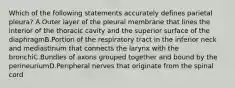 Which of the following statements accurately defines parietal pleura? A.Outer layer of the pleural membrane that lines the interior of the thoracic cavity and the superior surface of the diaphragmB.Portion of the respiratory tract in the inferior neck and mediastinum that connects the larynx with the bronchiC.Bundles of axons grouped together and bound by the perineuriumD.Peripheral nerves that originate from the spinal cord