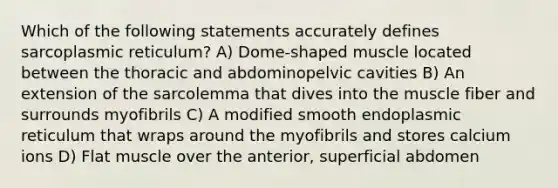 Which of the following statements accurately defines sarcoplasmic reticulum? A) Dome-shaped muscle located between the thoracic and abdominopelvic cavities B) An extension of the sarcolemma that dives into the muscle fiber and surrounds myofibrils C) A modified smooth endoplasmic reticulum that wraps around the myofibrils and stores calcium ions D) Flat muscle over the anterior, superficial abdomen