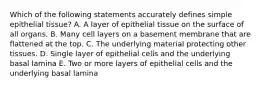 Which of the following statements accurately defines simple epithelial tissue? A. A layer of epithelial tissue on the surface of all organs. B. Many cell layers on a basement membrane that are flattened at the top. C. The underlying material protecting other tissues. D. Single layer of epithelial cells and the underlying basal lamina E. Two or more layers of epithelial cells and the underlying basal lamina