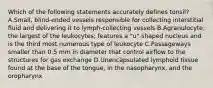 Which of the following statements accurately defines tonsil? A.Small, blind-ended vessels responsible for collecting interstitial fluid and delivering it to lymph-collecting vessels B.Agranulocyte; the largest of the leukocytes; features a "u"-shaped nucleus and is the third most numerous type of leukocyte C.Passageways smaller than 0.5 mm in diameter that control airflow to the structures for gas exchange D.Unencapsulated lymphoid tissue found at the base of the tongue, in the nasopharynx, and the oropharynx