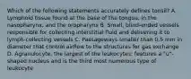 Which of the following statements accurately defines tonsil? A. Lymphoid tissue found at the base of the tongue, in the nasopharynx, and the oropharynx B. Small, blind-ended vessels responsible for collecting interstitial fluid and delivering it to lymph-collecting vessels C. Passageways smaller than 0.5 mm in diameter that control airflow to the structures for gas exchange D. Agranulocyte; the largest of the leukocytes; features a "u"-shaped nucleus and is the third most numerous type of leukocyte