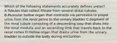 Which of the following statements accurately defines ureter? A.Tubules that collect filtrate from several distal tubules B.Muscular hollow organ that contracts via peristalsis to propel urine from the renal pelvis to the urinary bladder C.Segment of the renal tubule consisting of a descending loop that dives into the renal medulla and an ascending limb that travels back to the renal cortex D.Hollow organ that drains urine from the urinary bladder to outside the body during micturition