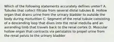 Which of the following statements accurately defines ureter? A. Tubules that collect filtrate from several distal tubules B. Hollow organ that drains urine from the urinary bladder to outside the body during micturition C. Segment of the renal tubule consisting of a descending loop that dives into the renal medulla and an ascending limb that travels back to the renal cortex D. Muscular hollow organ that contracts via peristalsis to propel urine from the renal pelvis to the urinary bladder