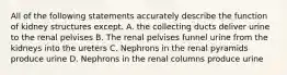 All of the following statements accurately describe the function of kidney structures except. A. the collecting ducts deliver urine to the renal pelvises B. The renal pelvises funnel urine from the kidneys into the ureters C. Nephrons in the renal pyramids produce urine D. Nephrons in the renal columns produce urine