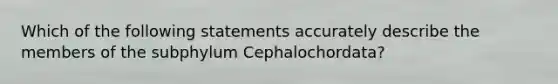 Which of the following statements accurately describe the members of the subphylum Cephalochordata?