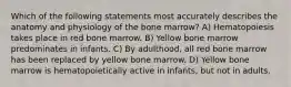 Which of the following statements most accurately describes the anatomy and physiology of the bone marrow? A) Hematopoiesis takes place in red bone marrow. B) Yellow bone marrow predominates in infants. C) By adulthood, all red bone marrow has been replaced by yellow bone marrow. D) Yellow bone marrow is hematopoietically active in infants, but not in adults.