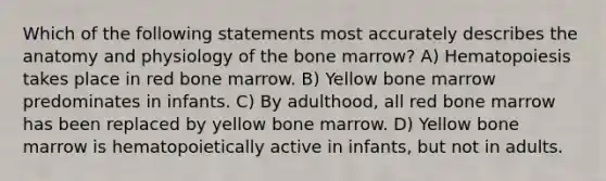 Which of the following statements most accurately describes the anatomy and physiology of the bone marrow? A) Hematopoiesis takes place in red bone marrow. B) Yellow bone marrow predominates in infants. C) By adulthood, all red bone marrow has been replaced by yellow bone marrow. D) Yellow bone marrow is hematopoietically active in infants, but not in adults.