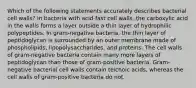 Which of the following statements accurately describes bacterial cell walls? In bacteria with acid-fast cell walls, the carboxylic acid in the walls forms a layer outside a thin layer of hydrophilic polypeptides. In gram-negative bacteria, the thin layer of peptidoglycan is surrounded by an outer membrane made of phospholipids, lipopolysaccharides, and proteins. The cell walls of gram-negative bacteria contain many more layers of peptidoglycan than those of gram-positive bacteria. Gram-negative bacterial cell walls contain teichoic acids, whereas the cell walls of gram-positive bacteria do not.