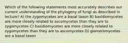 Which of the following statements most accurately describes our current understanding of the phylogeny of fungi as described in lecture? A) the zygomycetes are a basal taxon B) basidiomycetes are more closely related to ascomycetes than they are to zygomycetes C) basidiomycetes are more closely related to zygomycetes than they are to ascomycetes D) glomeromycetes are a basal taxon