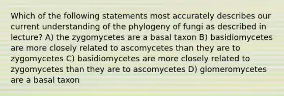 Which of the following statements most accurately describes our current understanding of the phylogeny of fungi as described in lecture? A) the zygomycetes are a basal taxon B) basidiomycetes are more closely related to ascomycetes than they are to zygomycetes C) basidiomycetes are more closely related to zygomycetes than they are to ascomycetes D) glomeromycetes are a basal taxon