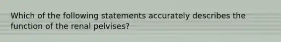 Which of the following statements accurately describes the function of the renal pelvises?