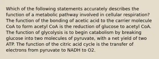 Which of the following statements accurately describes the function of a metabolic pathway involved in cellular respiration? The function of the bonding of acetic acid to the carrier molecule CoA to form acetyl CoA is the reduction of glucose to acetyl CoA. The function of glycolysis is to begin catabolism by breaking glucose into two molecules of pyruvate, with a net yield of two ATP. The function of the citric acid cycle is the transfer of electrons from pyruvate to NADH to O2.