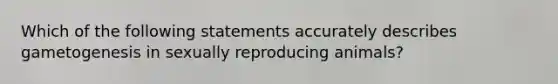 Which of the following statements accurately describes gametogenesis in sexually reproducing animals?