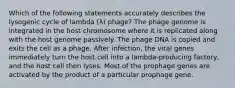 Which of the following statements accurately describes the lysogenic cycle of lambda (λ) phage? The phage genome is integrated in the host chromosome where it is replicated along with the host genome passively. The phage DNA is copied and exits the cell as a phage. After infection, the viral genes immediately turn the host cell into a lambda-producing factory, and the host cell then lyses. Most of the prophage genes are activated by the product of a particular prophage gene.