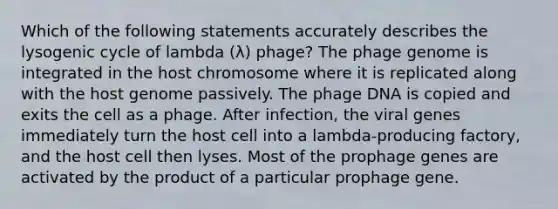 Which of the following statements accurately describes the lysogenic cycle of lambda (λ) phage? The phage genome is integrated in the host chromosome where it is replicated along with the host genome passively. The phage DNA is copied and exits the cell as a phage. After infection, the viral genes immediately turn the host cell into a lambda-producing factory, and the host cell then lyses. Most of the prophage genes are activated by the product of a particular prophage gene.