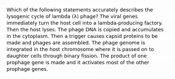 Which of the following statements accurately describes the lysogenic cycle of lambda (λ) phage? The viral genes immediately turn the host cell into a lambda-producing factory. Then the host lyses. The phage DNA is copied and accumulates in the cytoplasm. Then a trigger causes capsid proteins to be made and phages are assembled. The phage genome is integrated in the host chromosome where it is passed on to daughter cells through binary fission. The product of one prophage gene is made and it activates most of the other prophage genes.