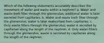 Which of the following statements accurately describes the movement of water and waste within a nephron? a. Water and waste both filter through the glomerulus; additional water is later secreted from capillaries. b. Water and waste both filter through the glomerulus; water is later reabsorbed from capillaries. c. Only waste filters through the glomerulus; water is secreted by capillaries along the length of the nephron. d. Only water filters through the glomerulus; waste is secreted by capillaries along the length of the nephron.