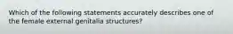 Which of the following statements accurately describes one of the female external genitalia structures?