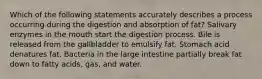 Which of the following statements accurately describes a process occurring during the digestion and absorption of fat? Salivary enzymes in the mouth start the digestion process. Bile is released from the gallbladder to emulsify fat. Stomach acid denatures fat. Bacteria in the large intestine partially break fat down to fatty acids, gas, and water.