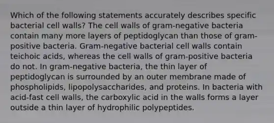 Which of the following statements accurately describes specific bacterial cell walls? The cell walls of gram-negative bacteria contain many more layers of peptidoglycan than those of gram-positive bacteria. Gram-negative bacterial cell walls contain teichoic acids, whereas the cell walls of gram-positive bacteria do not. In gram-negative bacteria, the thin layer of peptidoglycan is surrounded by an outer membrane made of phospholipids, lipopolysaccharides, and proteins. In bacteria with acid-fast cell walls, the carboxylic acid in the walls forms a layer outside a thin layer of hydrophilic polypeptides.