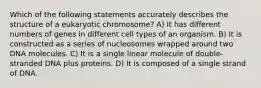 Which of the following statements accurately describes the structure of a eukaryotic chromosome? A) It has different numbers of genes in different cell types of an organism. B) It is constructed as a series of nucleosomes wrapped around two DNA molecules. C) It is a single linear molecule of double-stranded DNA plus proteins. D) It is composed of a single strand of DNA.