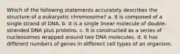 Which of the following statements accurately describes the structure of a eukaryotic chromosome? a. It is composed of a single strand of DNA. b. It is a single linear molecule of double-stranded DNA plus proteins. c. It is constructed as a series of nucleosomes wrapped around two DNA molecules. d. It has different numbers of genes in different cell types of an organism.