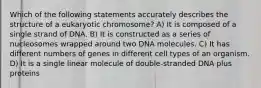 Which of the following statements accurately describes the structure of a eukaryotic chromosome? A) It is composed of a single strand of DNA. B) It is constructed as a series of nucleosomes wrapped around two DNA molecules. C) It has different numbers of genes in different cell types of an organism. D) It is a single linear molecule of double-stranded DNA plus proteins