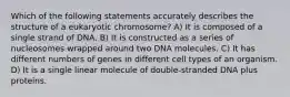 Which of the following statements accurately describes the structure of a eukaryotic chromosome? A) It is composed of a single strand of DNA. B) It is constructed as a series of nucleosomes wrapped around two DNA molecules. C) It has different numbers of genes in different cell types of an organism. D) It is a single linear molecule of double-stranded DNA plus proteins.