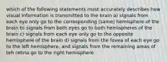 which of the following statements most accurately describes how visual information is transmitted to the brain a) signals from each eye only go to the corresponding (same) hemisphere of the brain b) signals from both eyes go to both hemispheres of the brain c) signals from each eye only go to the opposite hemisphere of the brain d) signals from the fovea of each eye go to the left hemisphere, and signals from the remaining areas of teh retina go to the right hemisphere