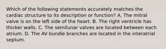 Which of the following statements accurately matches the cardiac structure to its description or function? A. The mitral valve is on the left side of the heart. B. The right ventricle has thicker walls. C. The semilunar valves are located between each atrium. D. The AV bundle branches are located in the interatrial septum.