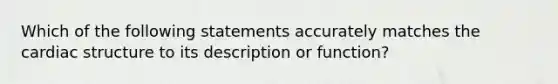 Which of the following statements accurately matches the cardiac structure to its description or function?