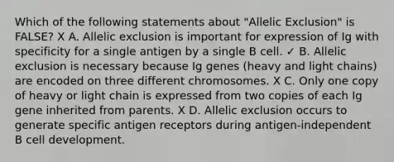 Which of the following statements about "Allelic Exclusion" is FALSE? X A. Allelic exclusion is important for expression of Ig with specificity for a single antigen by a single B cell. ✓ B. Allelic exclusion is necessary because Ig genes (heavy and light chains) are encoded on three different chromosomes. X C. Only one copy of heavy or light chain is expressed from two copies of each Ig gene inherited from parents. X D. Allelic exclusion occurs to generate specific antigen receptors during antigen-independent B cell development.