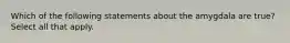 Which of the following statements about the amygdala are true? Select all that apply.