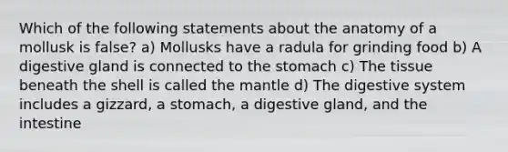 Which of the following statements about the anatomy of a mollusk is false? a) Mollusks have a radula for grinding food b) A digestive gland is connected to the stomach c) The tissue beneath the shell is called the mantle d) The digestive system includes a gizzard, a stomach, a digestive gland, and the intestine