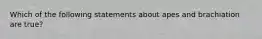 Which of the following statements about apes and brachiation are true?