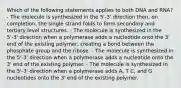 Which of the following statements applies to both DNA and RNA? - The molecule is synthesized in the 5'-3' direction then, on completion, the single strand folds to form secondary and tertiary level structures. - The molecule is synthesized in the 5'-3' direction when a polymerase adds a nucleotide onto the 3' end of the existing polymer, creating a bond between the phosphate group and the ribose. - The molecule is synthesized in the 5'-3' direction when a polymerase adds a nucleotide onto the 3' end of the existing polymer. - The molecule is synthesized in the 5'-3' direction when a polymerase adds A, T C, and G nucleotides onto the 3' end of the existing polymer.