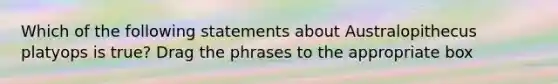 Which of the following statements about Australopithecus platyops is true? Drag the phrases to the appropriate box