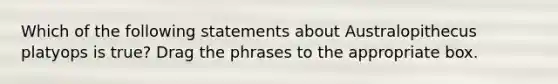 Which of the following statements about Australopithecus platyops is true? Drag the phrases to the appropriate box.