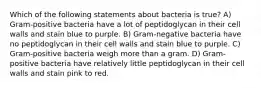 Which of the following statements about bacteria is true? A) Gram-positive bacteria have a lot of peptidoglycan in their cell walls and stain blue to purple. B) Gram-negative bacteria have no peptidoglycan in their cell walls and stain blue to purple. C) Gram-positive bacteria weigh more than a gram. D) Gram-positive bacteria have relatively little peptidoglycan in their cell walls and stain pink to red.