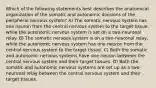 Which of the following statements best describes the anatomical organization of the somatic and autonomic divisions of the peripheral nervous system? A) The somatic nervous system has one neuron from the central nervous system to the target tissue, while the autonomic nervous system is set on a two-neuronal relay. B) The somatic nervous system is on a two-neuronal relay, while the autonomic nervous system has one neuron from the central nervous system to the target tissue. C) Both the somatic and autonomic nervous systems have one neuron between the central nervous system and their target tissues. D) Both the somatic and autonomic nervous systems are set up as a two-neuronal relay between the central nervous system and their target tissues.