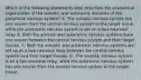 Which of the following statements best describes the anatomical organization of the somatic and autonomic divisions of the peripheral nervous system? A. The somatic nervous system has one neuron from the central nervous system to the target tissue, while the autonomic nervous system is set on a two-neuronal relay. B. Both the somatic and autonomic nervous systems have one neuron between the central nervous system and their target tissues. C. Both the somatic and autonomic nervous systems are set up as a two-neuronal relay between the central nervous system and their target tissues. D. The somatic nervous system is on a two-neuronal relay, while the autonomic nervous system has one neuron from the central nervous system to the target tissue.