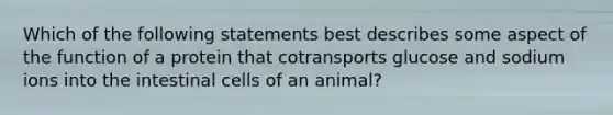 Which of the following statements best describes some aspect of the function of a protein that cotransports glucose and sodium ions into the intestinal cells of an animal?