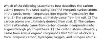 Which of the following statements best describes the carbon atoms present in a seed-eating bird? A) Inorganic carbon atoms in the seeds were incorporated into organic molecules by the bird. B) The carbon atoms ultimately came from the soil. C) The carbon atoms are ultimately derived from coal. D) The carbon atoms ultimately came from carbon dioxide incorporated into sugars through photosynthesis. E) The carbon atoms ultimately came from simple organic compounds that formed abiotically from inorganic carbon, hydrogen, oxygen, and nitrogen atoms.