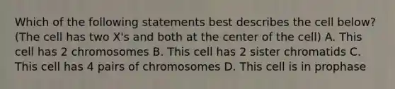 Which of the following statements best describes the cell below? (The cell has two X's and both at the center of the cell) A. This cell has 2 chromosomes B. This cell has 2 sister chromatids C. This cell has 4 pairs of chromosomes D. This cell is in prophase