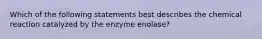 Which of the following statements best describes the chemical reaction catalyzed by the enzyme enolase?