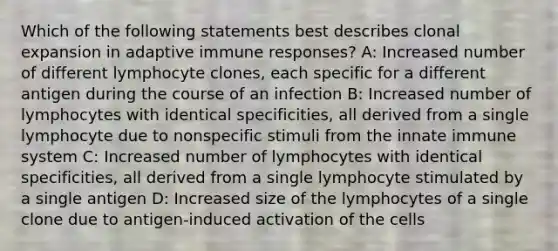 Which of the following statements best describes clonal expansion in adaptive immune responses? A: Increased number of different lymphocyte clones, each specific for a different antigen during the course of an infection B: Increased number of lymphocytes with identical specificities, all derived from a single lymphocyte due to nonspecific stimuli from the innate immune system C: Increased number of lymphocytes with identical specificities, all derived from a single lymphocyte stimulated by a single antigen D: Increased size of the lymphocytes of a single clone due to antigen-induced activation of the cells